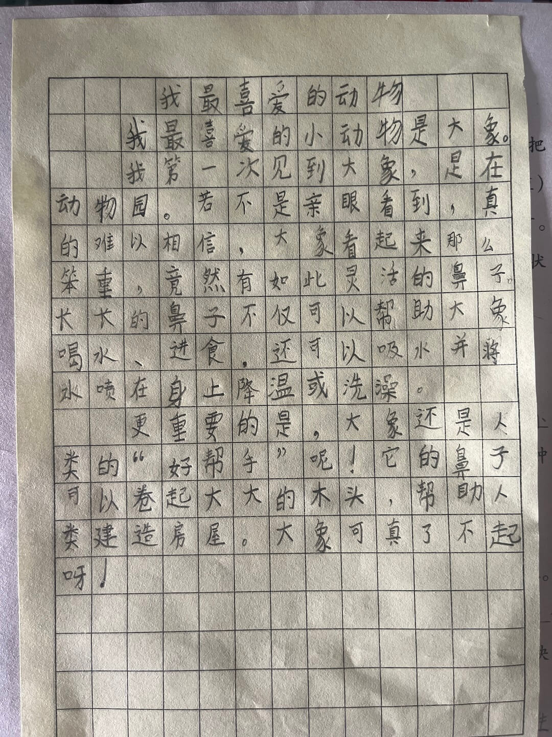 我最喜欢的动物